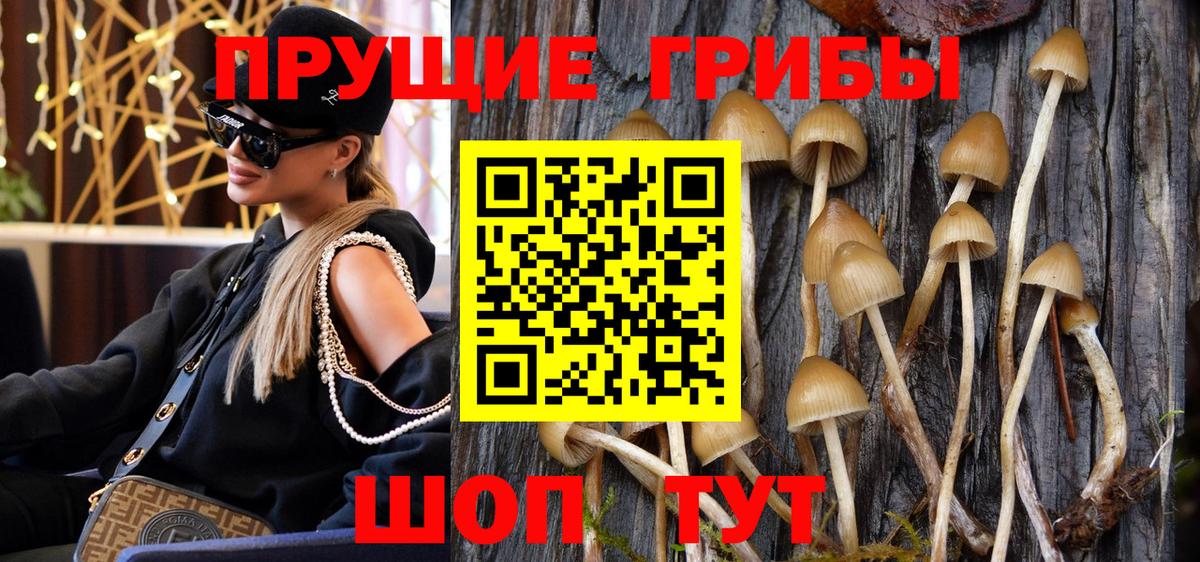 Галлюциногенные грибы Psilocybine cubensis  закладки  Сокол  Псилоцибиновые грибы Psilocybine cubensis  Вход с VPN 