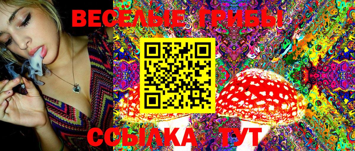 Псилоцибиновые грибы ЛСД Сокол